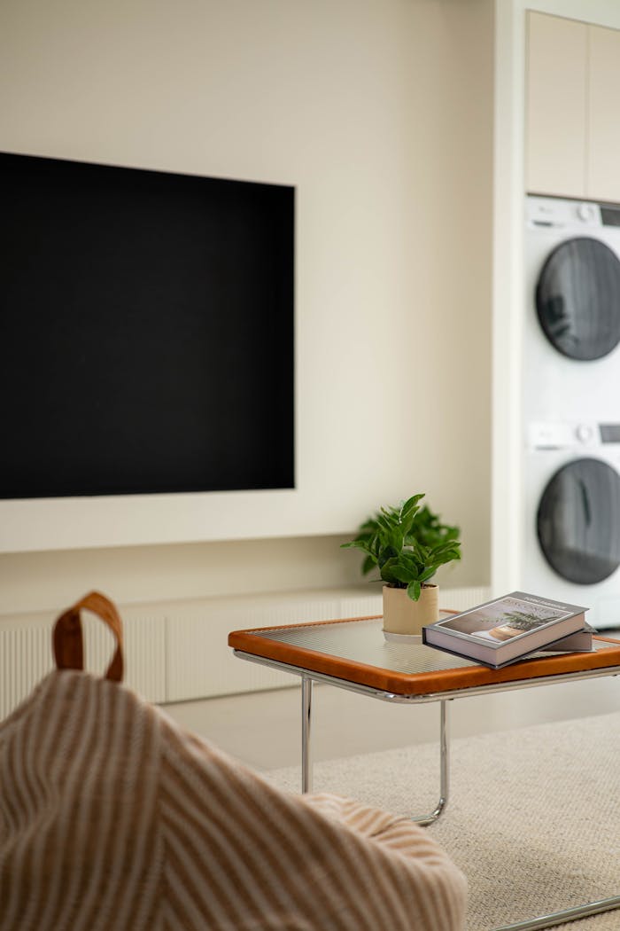 Stylish living room featuring a smart TV, coffee table, and modern laundry appliances.